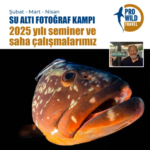 Photoworkshop
