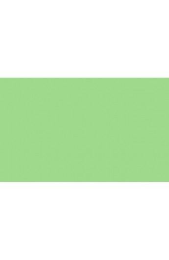 BD Backgrounds Stüdyo Fon  (SpringGreen 174)