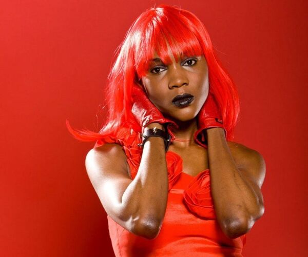 Lastolite 9008 2,72X11M. Paper Red