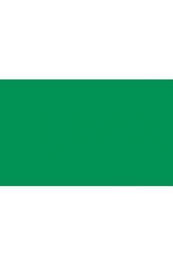 BD Backgrounds Stüdyo Fon  (Foto Green 162)