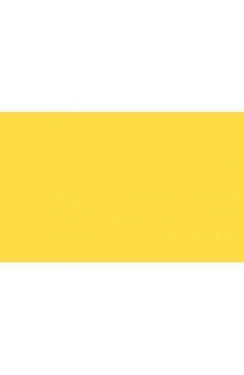 BD Backgrounds Stüdyo Fon  ( Daf-Fo-Dil 107)