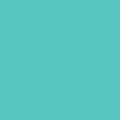 GDX Seyyar Kağıt Sonsuz Stüdyo Fon Perde (Baby Blue) 2.70x11 Metre