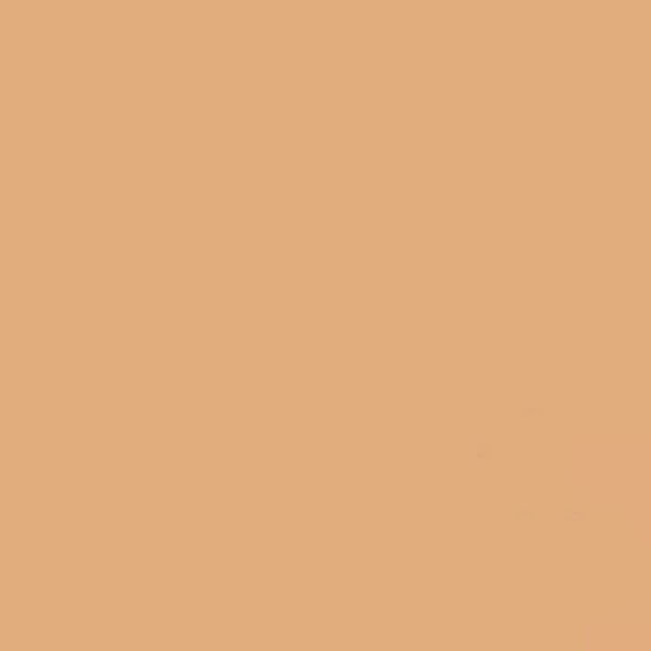 GDX Kağıt Sonsuz Stüdyo Fon Perde (Beige) 2.70x11 Metre