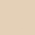 Gdx Kağıt Sonsuz Stüdyo Fon Perde (Egg Nog) 2.70x11 Metre