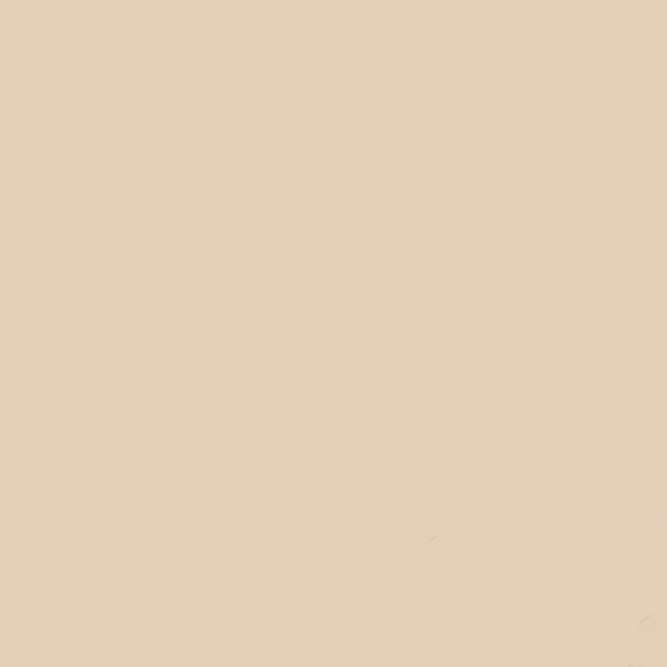 GDX Kağıt Sonsuz Stüdyo Fon Perde (Egg Nog) 2.70x11 Metre