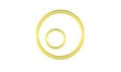 Inon Flaş O-ring Set