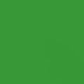 GDX Seyyar Kağıt Sonsuz Stüdyo Fon Perde (Green/Yeşil) 2.70x11 Metre