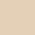 GDX Seyyar Kağıt Sonsuz Stüdyo Fon Perde (Egg Nog) 2.70x11 Metre