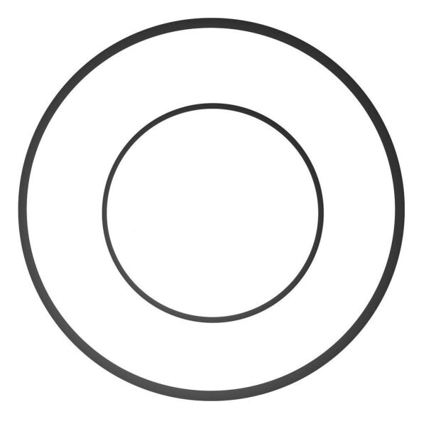 Ikelite DSLR Kabin ve Port O-ring'i (Tip 2)