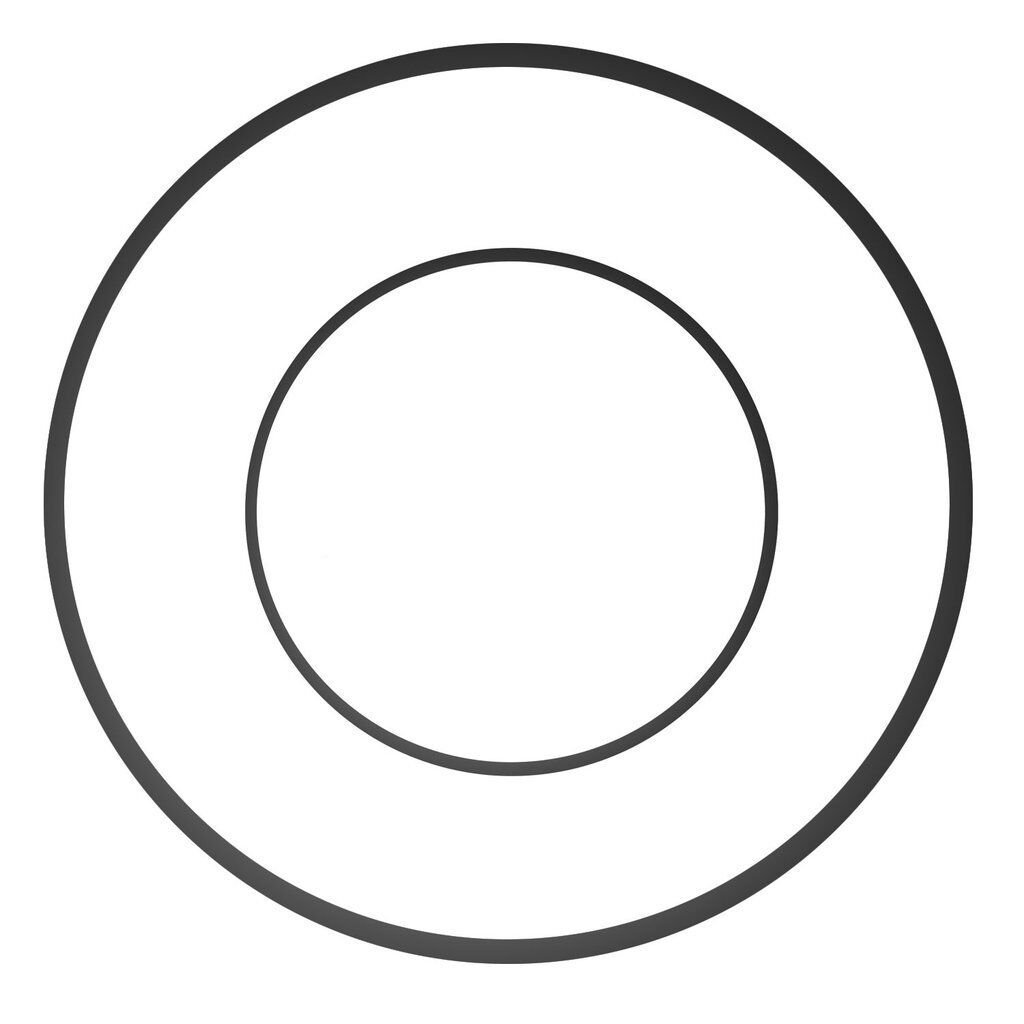 Ikelite DSLR Kabin ve Port O-ring (Tip 1)