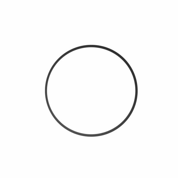 Ikelite Flaş Kablo o-ring'i