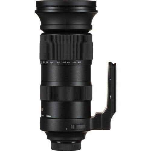 Sigma 60-600mm f/4.5-6.3 DG OS HSM Sports Lens (Nikon F)