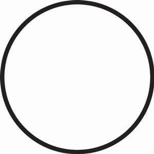 Fantasea FG16 kabin o-ring
