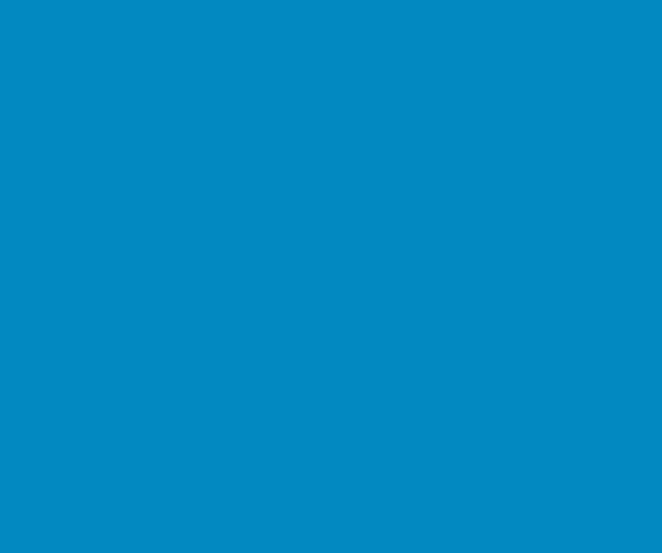 Lastolite 9065 2,72X11M. Paper Regal Blue Karton Fon