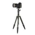 Fotopro X-Go Gecko Tripod