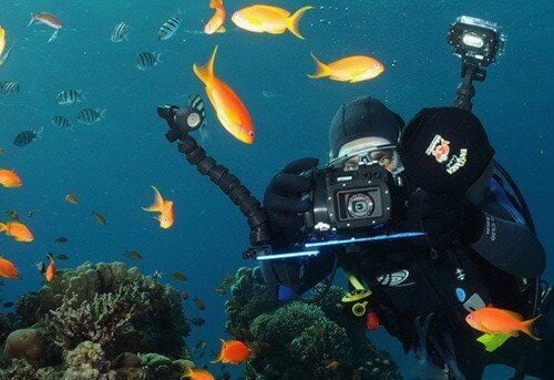 Fantasea EyeGrabber (Lens Tutucu)