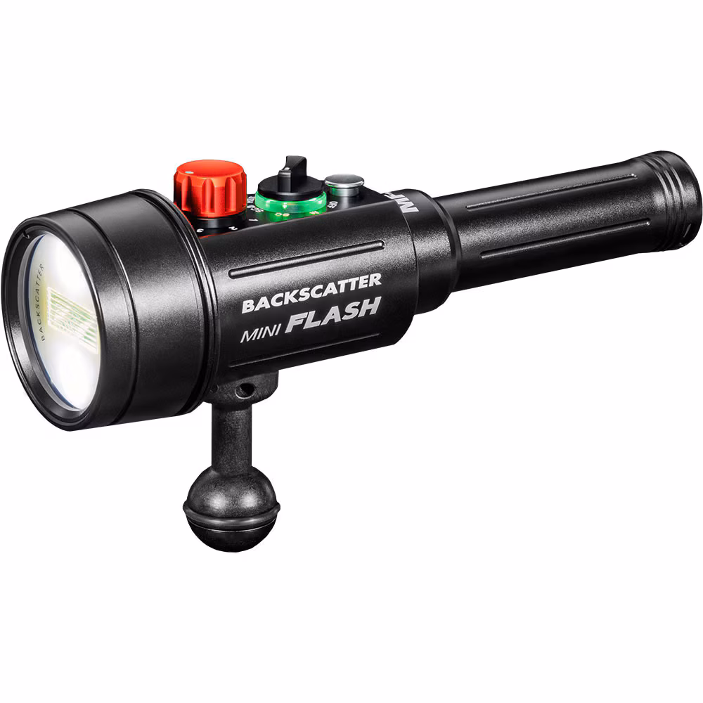 Backscatter Mini Flaş 3