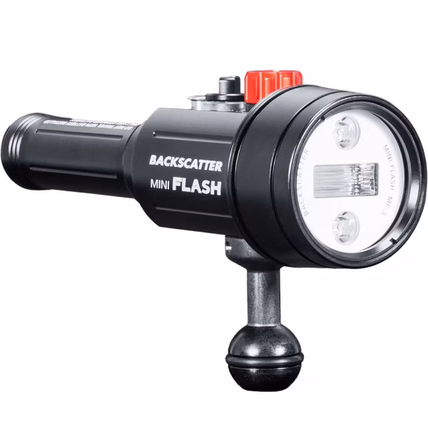 Backscatter Mini Flaş 3