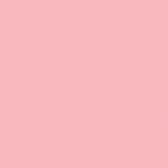Gdx Kağıt Sonsuz Stüdyo Fon Perde (Coral) 2.70x11 Metre