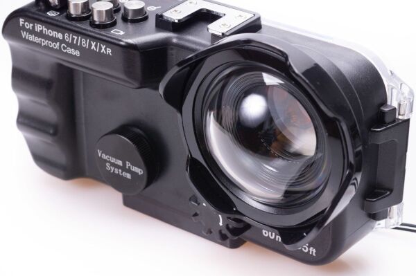 Sea Frogs iPhone 6/7/8/X/XR Model Akıllı Telefon Kabini